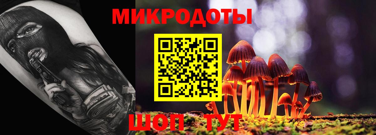 Галлюциногенные грибы Psilocybe  Вход с VPN  Углич 